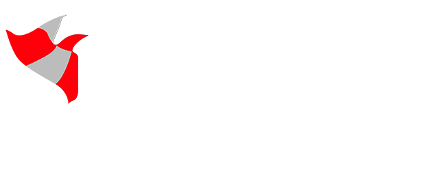 teknik-motorspor-w